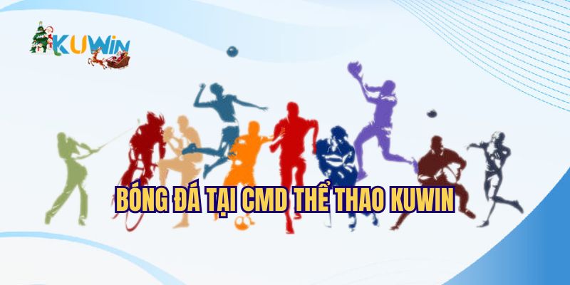 Bóng đá tại CMD thể thao Kuwin