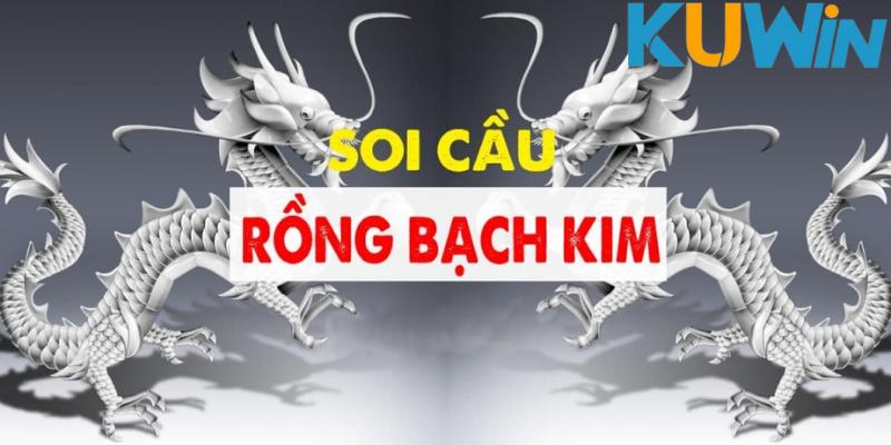 Thông tin khái quát chung về Rồng Bạch Kim đến anh em đam mê